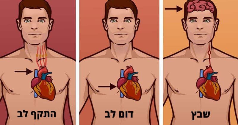 אלה הם ההבדלים בין התקף לב, דום לב ושבץ מוחי שכולם חייבים לדעת