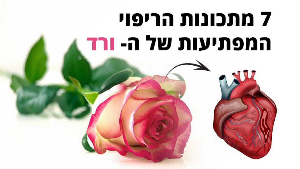 ורד - 7 מתכונות הריפוי שכדאי להכיר ולדעת