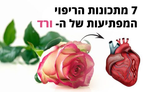 ורד - 7 מתכונות הריפוי שכדאי להכיר ולדעת