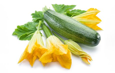 זוקיני, 6 דברים מרתקים שלא ידענו עליו