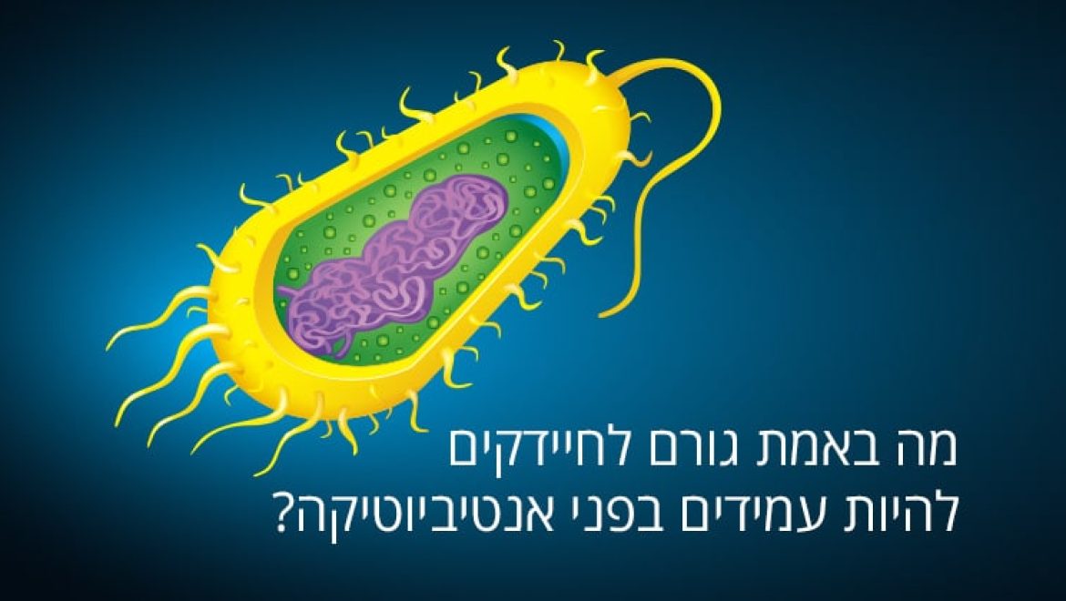 מה באמת גורם לחיידקים להיות עמידים בפני אנטיביוטיקה?