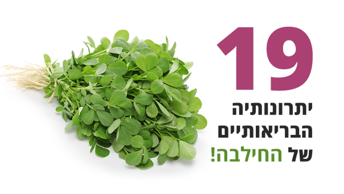 חילבה - יתרונותיה הבריאותיים המדהימים מגובים מחקרית