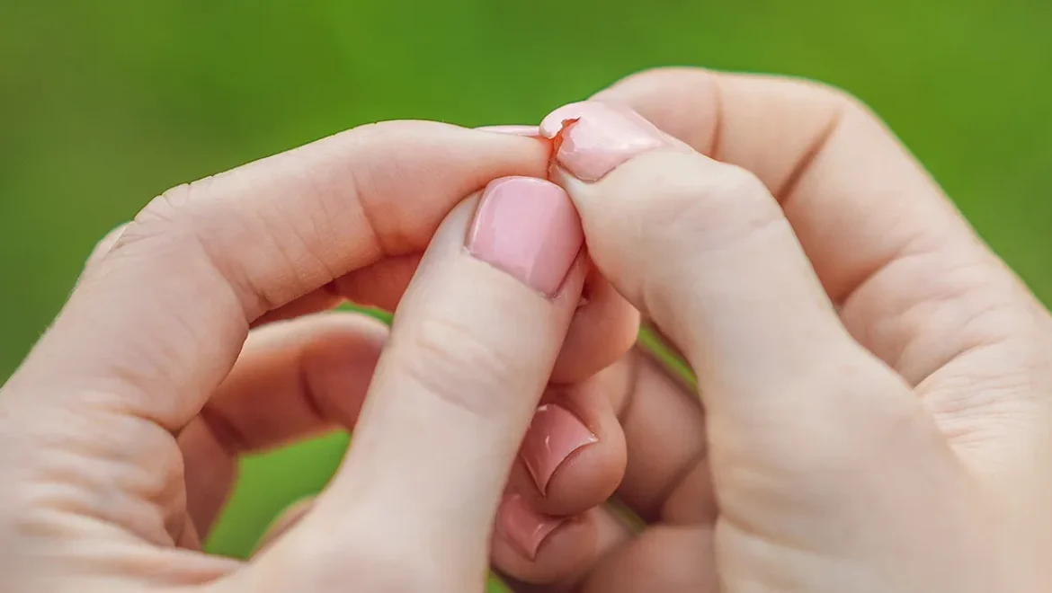 חלבון - כך תדעו אם יש לכם חוסר וכיצד להשלים אותו