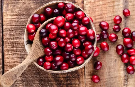 חמוציות: לא רק לדלקות בדרכי השתן - 10 יתרונות בריאותיים מפתיעים!