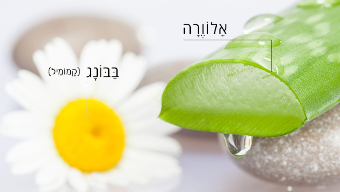 טחורים - 4 טיפולים טבעיים להקלה, הרגעה וריפוי