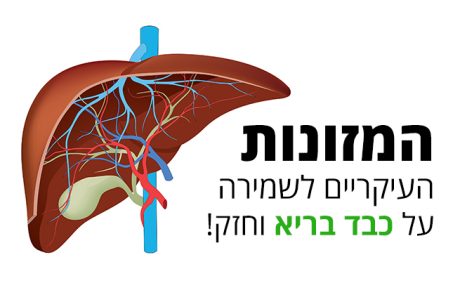 כבד בריא וחזק: כך תשמרו על מנוע החיים של הגוף