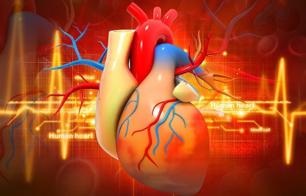 6 עובדות עוצרות נשימה ומעוררות התפעלות על לב האדם