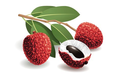 ליצ'י, ערך תזונתי ויתרונות הבריאות המדהימים