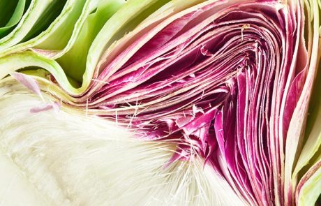 12 מאכלים שמכילים יותר סיבים תזונתיים מחטיף בריאות