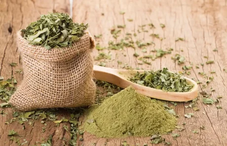 מורינגה, יתרונות הבריאות שעדיין לא הכרתם