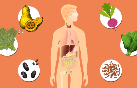 20 המזונות מהצומח העשירים ביותר בסידן