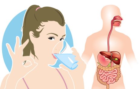 מים, למה לא לשתות כוס לפני ומיד אחרי הארוחה