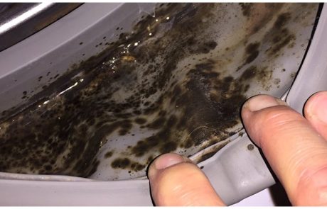 כך תנקו את מכונת הכביסה שלכם מעובש בקלות ועם חומרים טבעיים