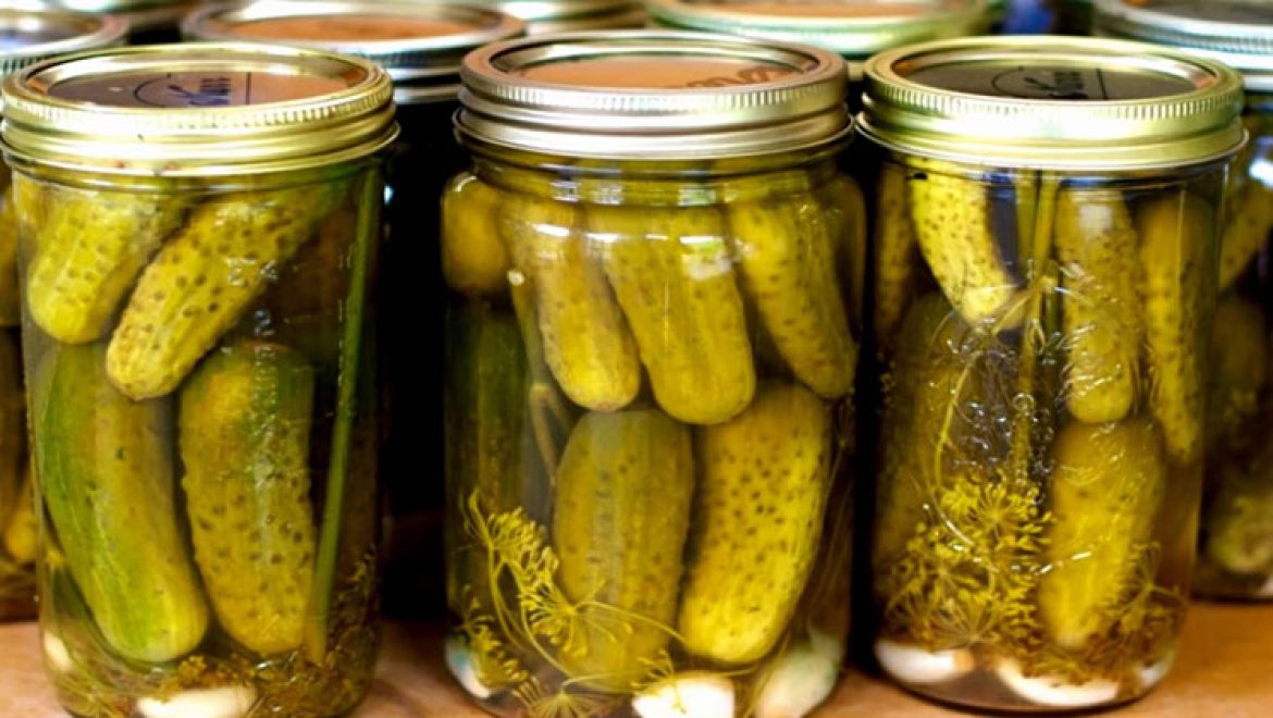 5 סיבות מדהימות ומפתיעות שיגרמו לכם לאכול מלפפונים חמוצים כבר עכשיו