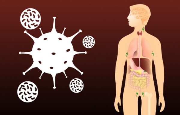 חיזוק מערכת החיסון בעזרת ריפוי 3 מערכות הגוף