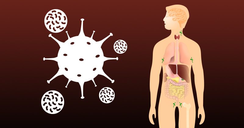 חיזוק מערכת החיסון בעזרת ריפוי 3 מערכות הגוף