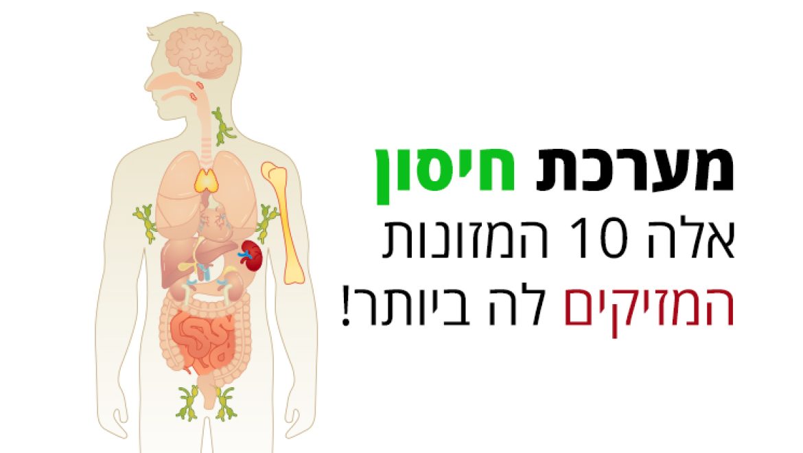 מערכת חיסון, אלה 10 המאכלים המזיקים לה ביותר