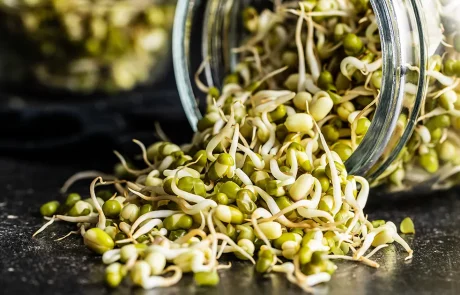 מש (מאש): הסוד הטבעי ללב בריא ולמערכת חיסון חזקה!