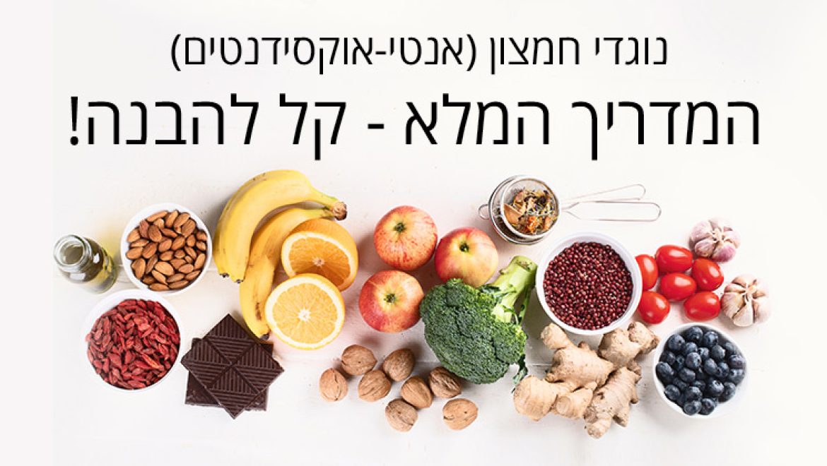 נוגדי חמצון (אנטיאוקסידנטים)