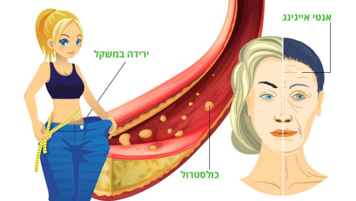 נחושת, מה תפקידיה בגוף ומקורות המזון האיכותיים