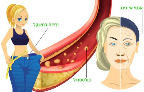 נחושת, מה תפקידיה בגוף ומקורות המזון האיכותיים