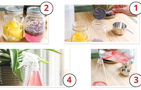 ניקוי חלונות, מתכון קל לחומר ניקוי טבעי עם ניחוח נפלא