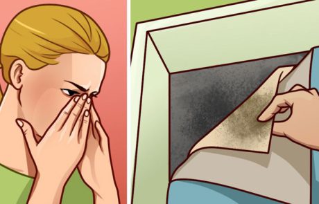 עובש, איזה אוכל מותר ואיזה אסור לאכול?