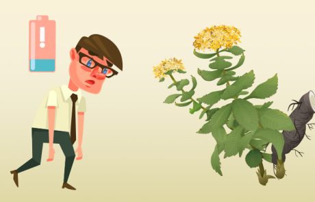 8 הדרכים להעלאת רמות האנרגיה ומילוי המצברים שלכם