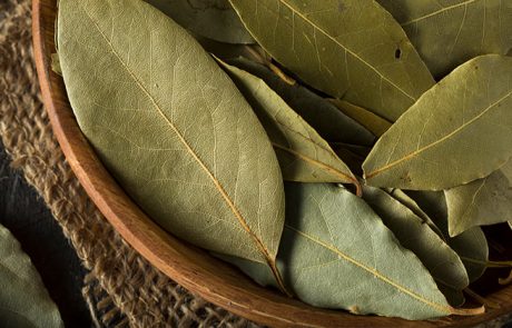 העלה שישמור על בריאות הלב שלכם!