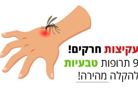עקיצות חרקים? כך תטפלו בהן באופן טבעי ובקלות