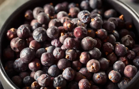 ערער פירות: יתרונות הבריאות, שימושים ואמצעי זהירות שחייבים להכיר