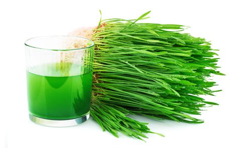 עשב שעורה מכיל אנזים חשוב שמחסל תאי סרטן!