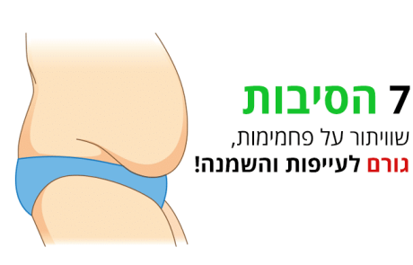 פחמימות, אלה הסיבות שוויתור עליהן יגרום לכם להיות עייפים ושמנים