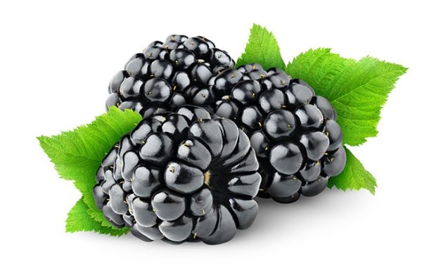 פטל שחור, 15 עובדות בריאותיות על הפרי הטעים הזה