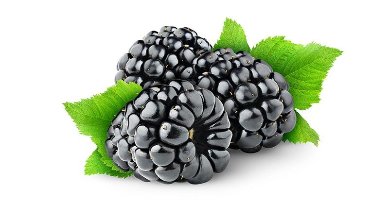 פטל שחור, 15 עובדות בריאותיות על הפרי הטעים הזה