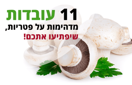 11 עובדות מדהימות על פטריות שיפתיעו אתכם