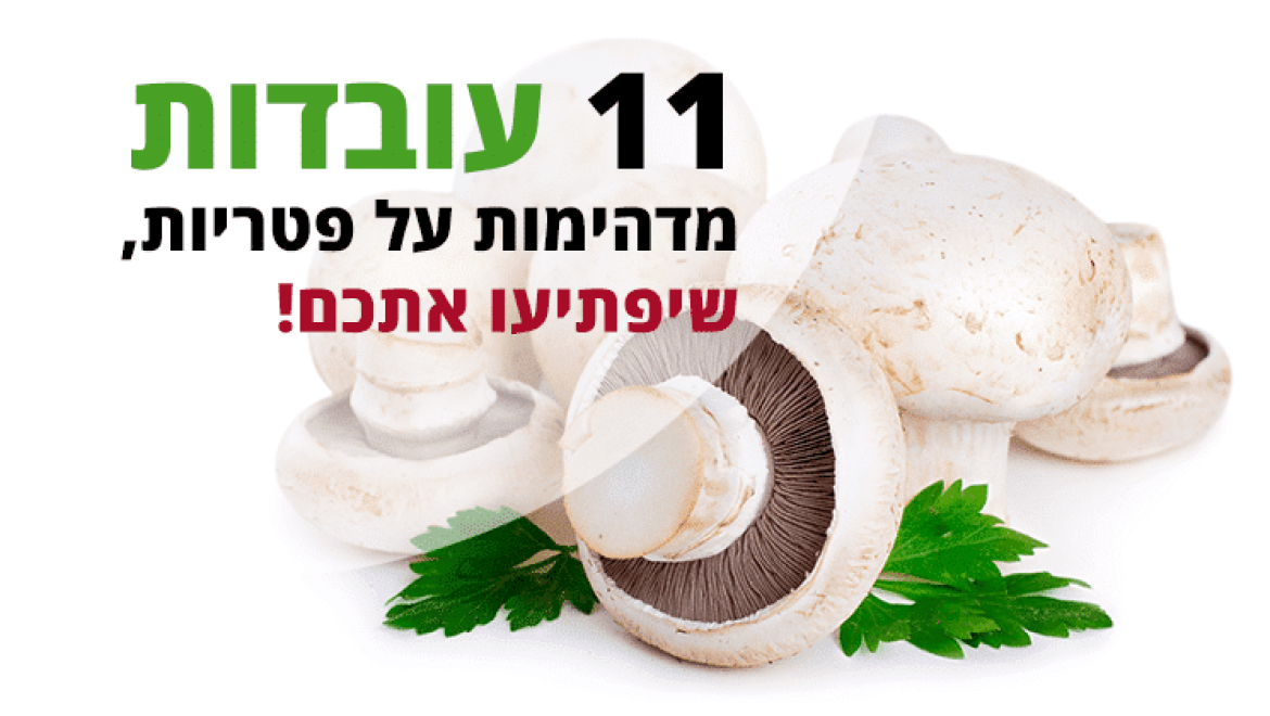 11 עובדות מדהימות על פטריות שיפתיעו אתכם