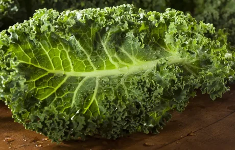 ברזל - המזונות העשירים ביותר והצריכה היומית המומלצת