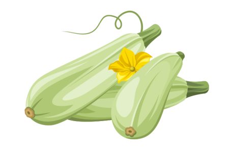 קישוא, 7 סיבות בריאות לאכול אותו כל יום