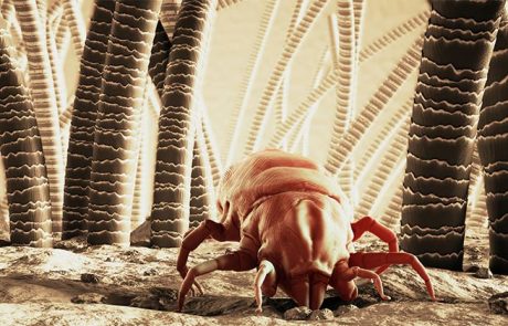 מצעים, כל כמה זמן חייבים להחליף והסיבה שתגרום לכם להחליף אותם