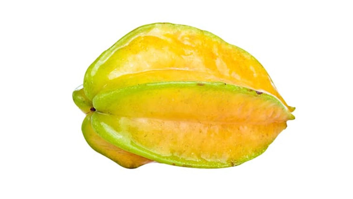 קרמבולה, כל מה שאתם חייבים לדעת עליה