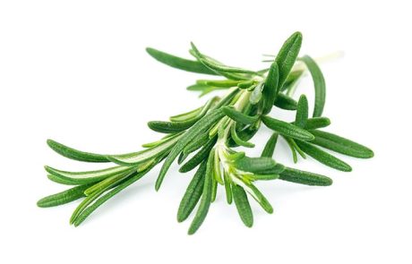 רוזמרין, 7 סיבות בריאותיות להוסיף אותו לתזונה השבועית שלכם