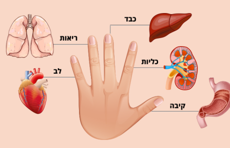 כל אצבע קשורה ל- 2 איברים בגוף: שיטה יפנית לריפוי ב- 5 דקות!