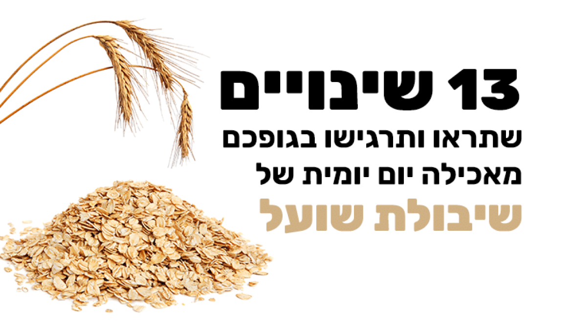 יתרונותיה הבריאותיים של שיבולת שועל
