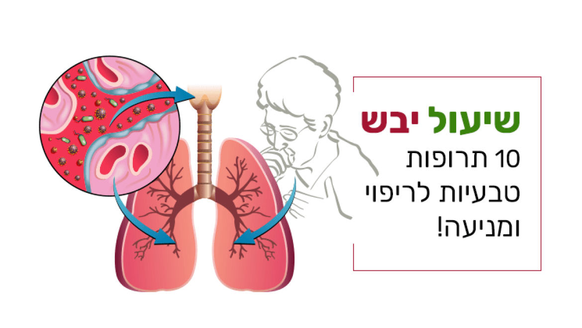 שיעול יבש, 10 תרופות טבעיות לריפוי ומניעה