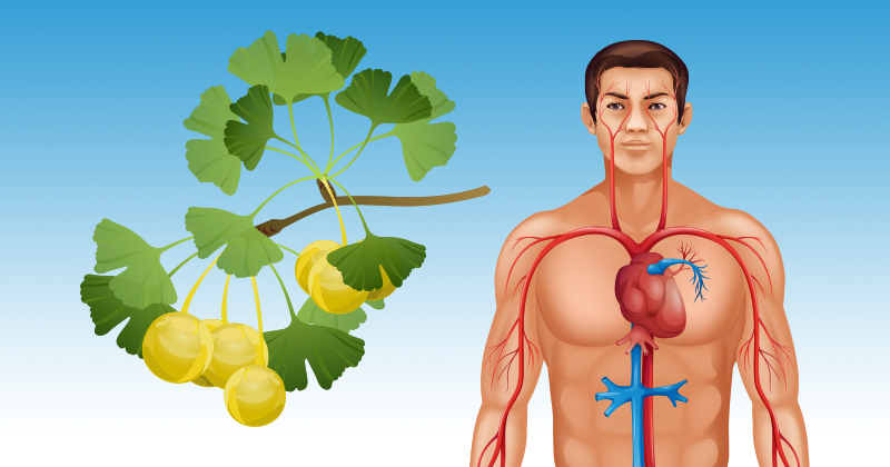 16 דרכים טבעיות ופשוטות לשיפור זרימת הדם