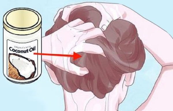 5 עובדות שלא ידעתם על שמן קוקוס לטיפוח השיער