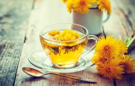 מכוס תה לתגלית שמסעירה את העולם - כך פועל שן הארי נגד תאי סרטן