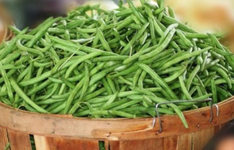 היתרונות הבריאותיים של השעועית הירוקה שכולם צריכים לדעת