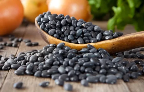 בריאות, טעם ושובע - כך שעועית שחורה משדרגת את הבריאות